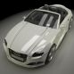 Audi RS Roadster Concept Study