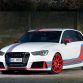MR-Racing-Audi-RS3-Martini-11