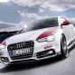 Audi S5 by Eibach