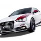 Audi S5 by Eibach