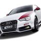 Audi S5 by Eibach