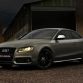 Audi S5 by Vilner