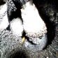 Audi S6 V10 engine Carbon Buildup (6)