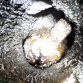 Audi S6 V10 engine Carbon Buildup (7)
