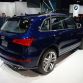 Audi SQ5 3.0 TFSI in Detroit 2013