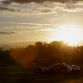 Audi wins Le Mans 24 hours with the R18 TDI
