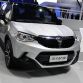 Auto Shanghai 2015 (12)