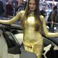 Babes at Geneva 2013