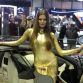 Babes at Geneva 2013
