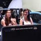 Babes at Geneva 2013