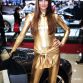 Babes at Geneva 2013