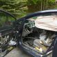 Bear attack in Honda Civic