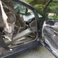 Bear attack in Honda Civic