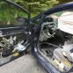 Bear attack in Honda Civic