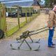 Belarus Selling USSR Army Trucks (13)