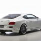 Bentley_Continental_GT_Black_Bison_Wald_International_(11)