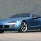 Bertone Birusa Concept