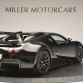 Black Bugatti Veyron for sale (10)