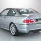 bmw e46 (11)