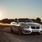 BMW in Paris 2014 (9)