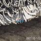 BMW M2 spy photos (5)