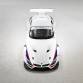 BMW Z4 GT3 Customer Sports Race car