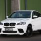 BMW X6 xDrive40d by Senner Tuning