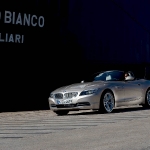 2010_z4_hi_24.jpg