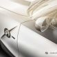 BMW Z4 Rampant by Carlex Design (6)