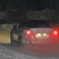 BMW Z5 spy photos (5)