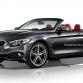 BMW without kidney grille 5