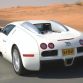 bugatti-veyron-white_12.jpg