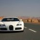bugatti-veyron-white_13.jpg