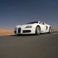 bugatti-veyron-white_14.jpg