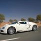 bugatti-veyron-white_15.jpg