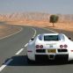 bugatti-veyron-white_17.jpg