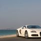 bugatti-veyron-white_18.jpg