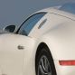 bugatti-veyron-white_19.jpg