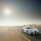 bugatti-veyron-white_9.jpg