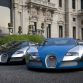 bugatti-veyron-centenaire-edition-10.jpg