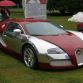 bugatti-veyron-centenaire-edition-18.jpg