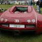 bugatti-veyron-centenaire-edition-26.jpg