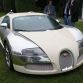 bugatti-veyron-centenaire-edition-44.jpg