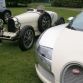 bugatti-veyron-centenaire-edition-45.jpg