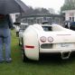 bugatti-veyron-centenaire-edition-48.jpg