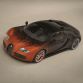 Bugatti Veyron Grand Sport Venet