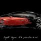 Bugatti Veyron Grand Sport Vitesse La Finale (12)