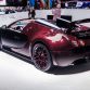 Bugatti-Veyron-La-Finale-2627