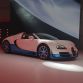 Bugatti Veyron GSV Bianco Live in Paris 2012