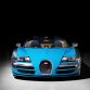 Bugatti Veyron Legend Meo Costantini